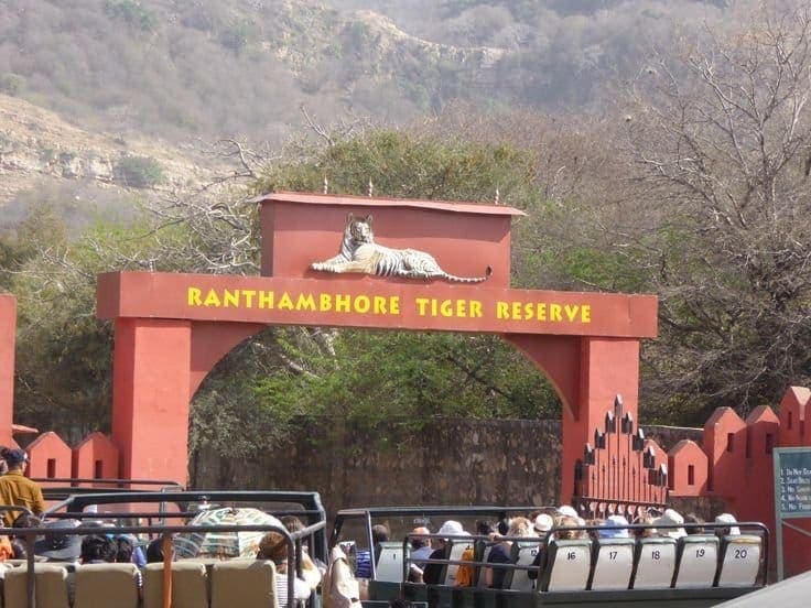 Ranthambore: Tiger Territory: a Ghoomo Saste Me batch
